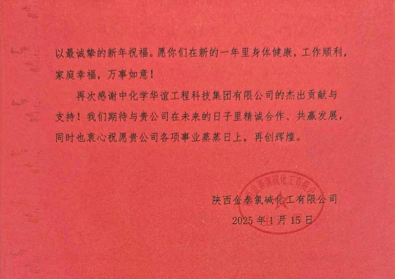 金泰氯碱2